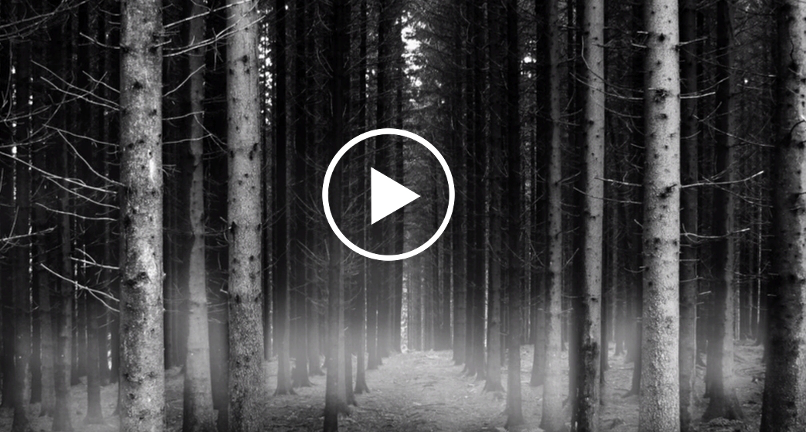 ТОП-10 видео с жуткими кадрами про призраков