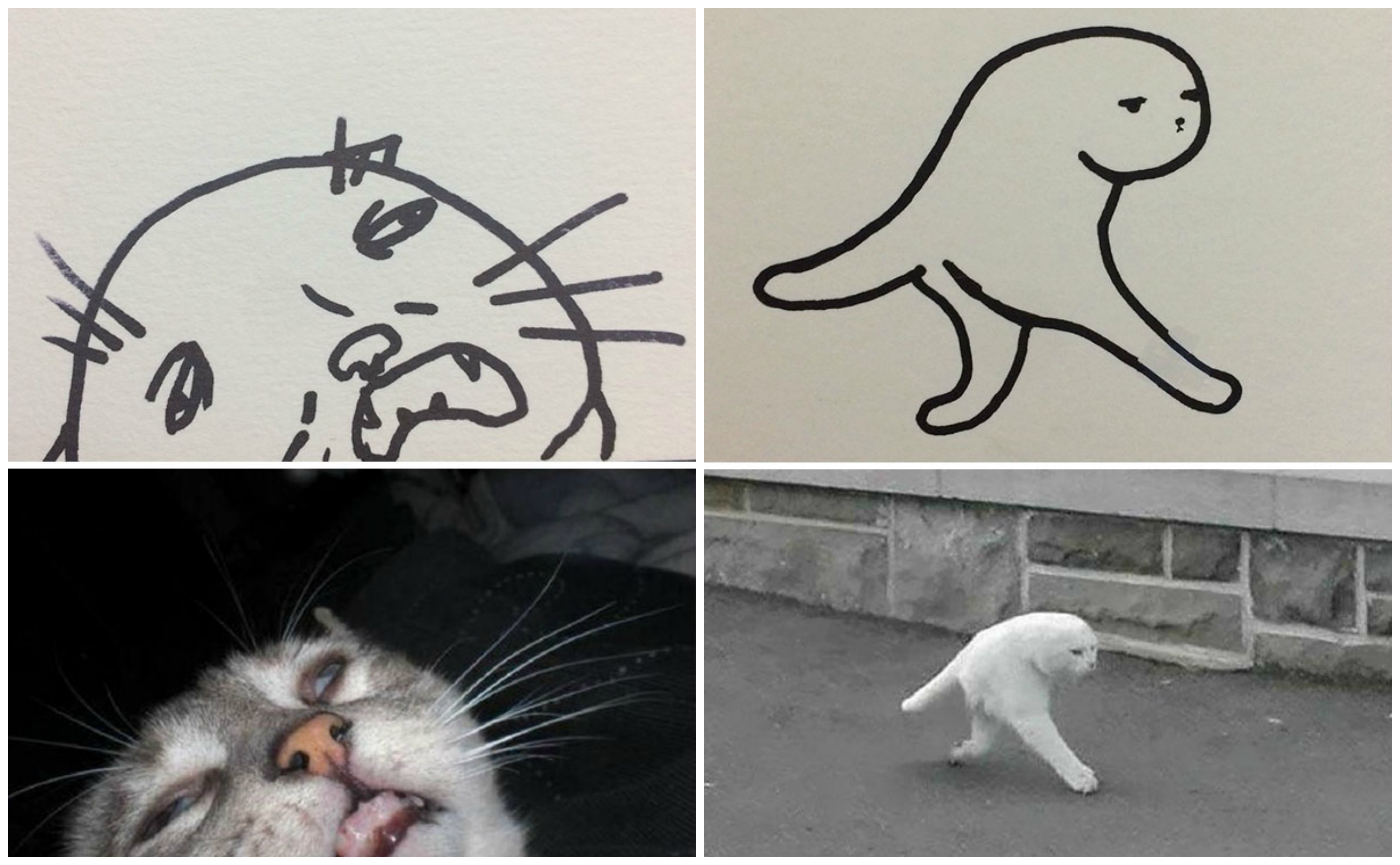 Супер-реалистичные рисунки котов и с этим нельзя поспорить