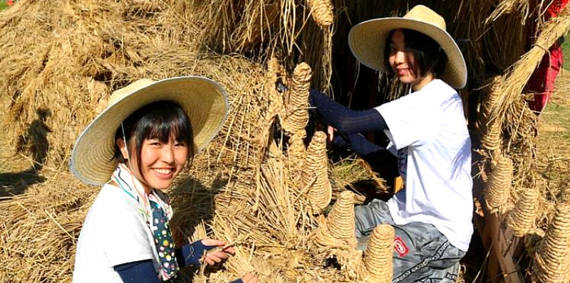 Когда урожай собран, на полях Северной Японии начинается настоящее искусство