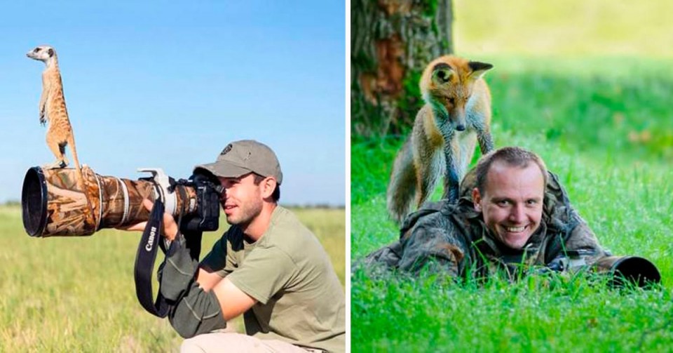 Фотографы дикой природы: всё, что остаётся за кадром