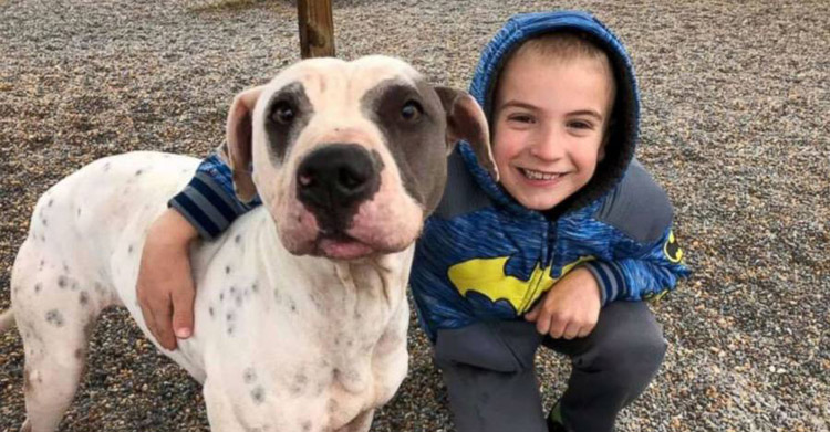 Мальчик в 7 лет стал «ребёнком года» – он спас 1300 собак